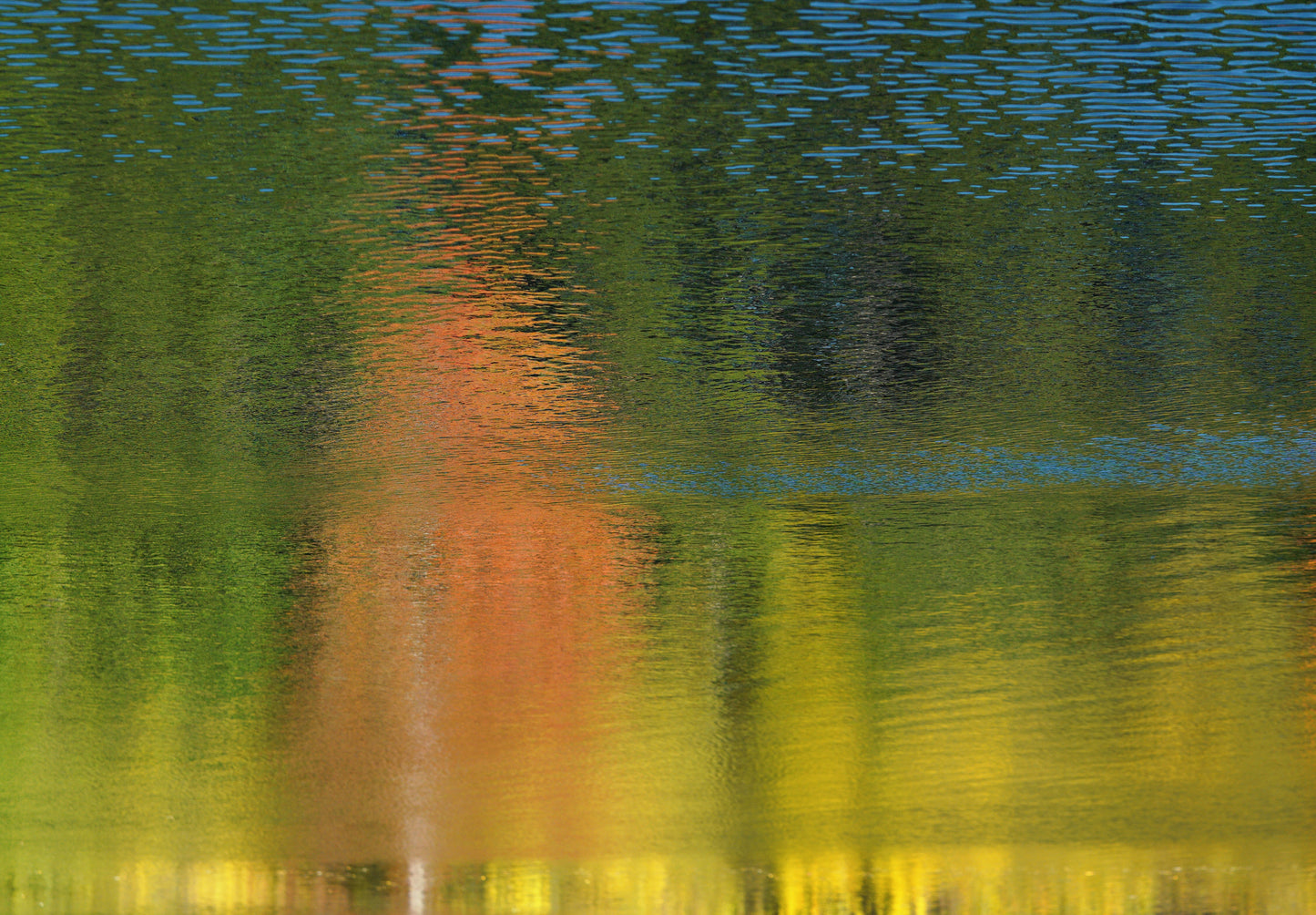The Fells, Limited Edition of 5 Prints, Photography, 17x25 Inches