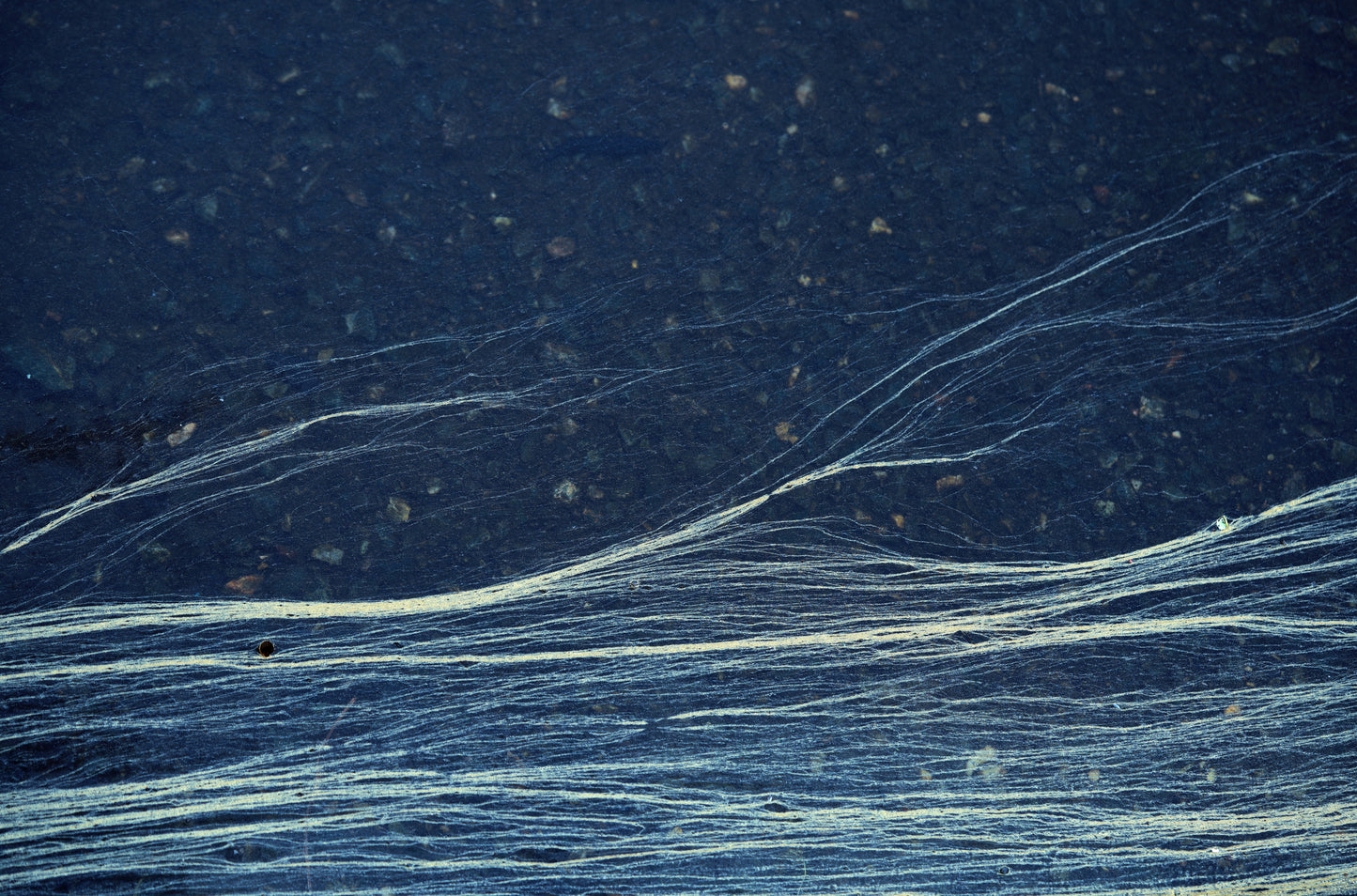 photography print Textured dark blue surface with white lines and specks