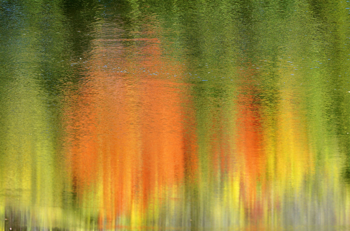 photography print blurred colors orange green yellow