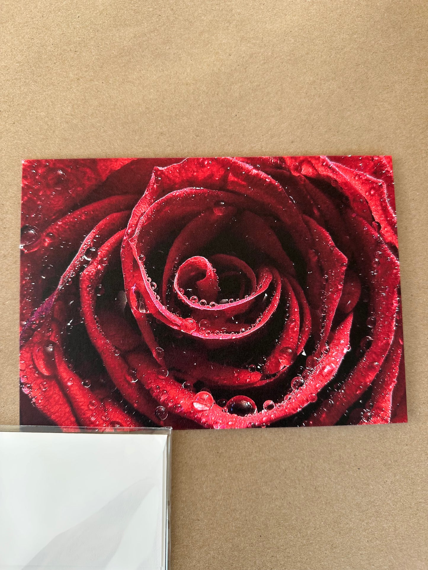 greeting card Close-up of a red rose with water droplets