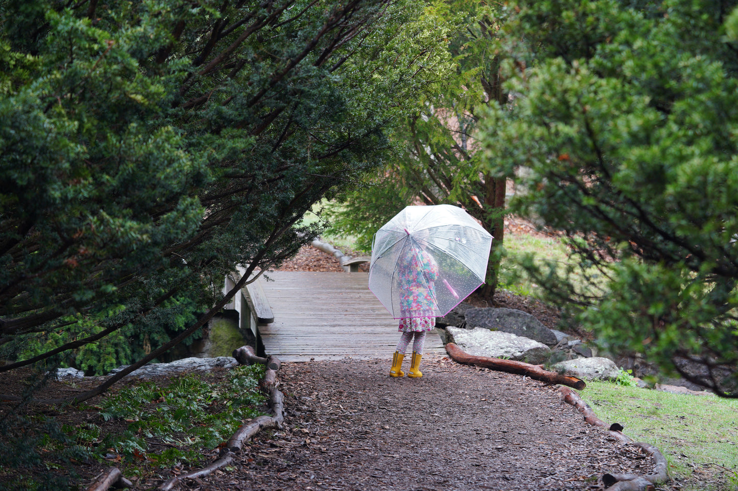 Spring Day at the Arboretum, Photograph on Archival Paper, 16x20 Inches