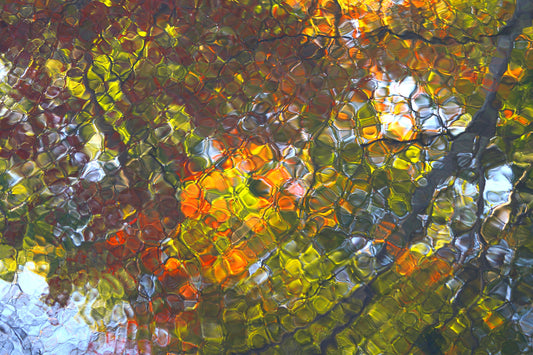 photography print close-up of a textured surface with autumnal colors