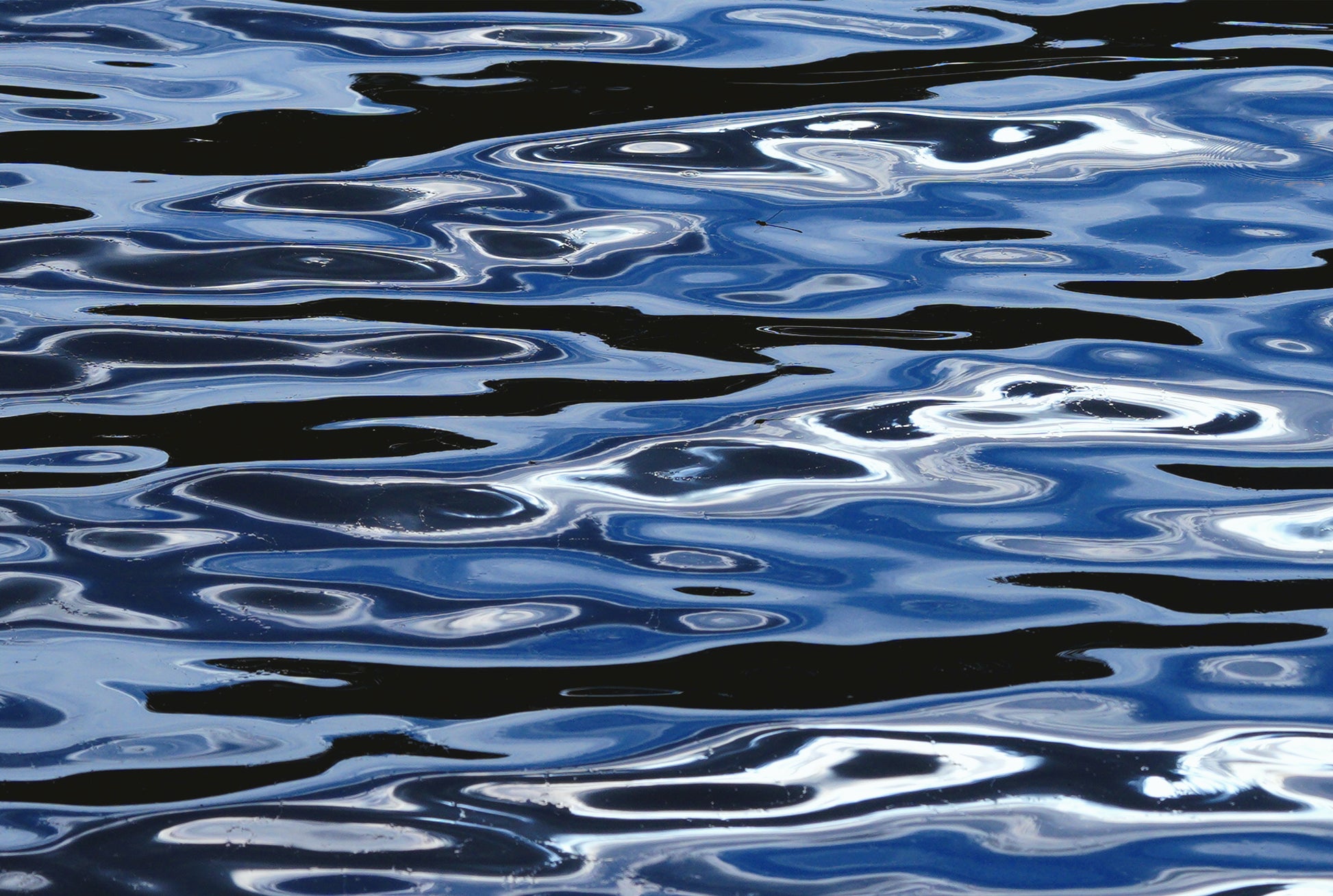 photography print ripples on water blue black white 