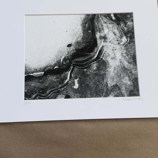 black and white photography macro print snow ice leaf video 