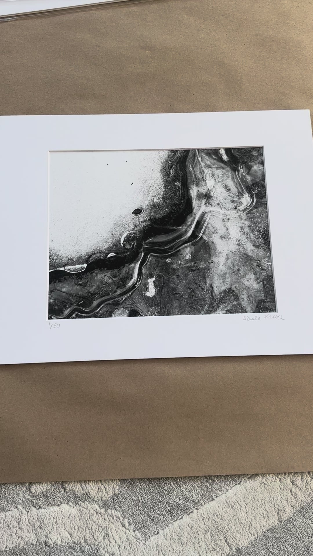 black and white photography macro print snow ice leaf video 