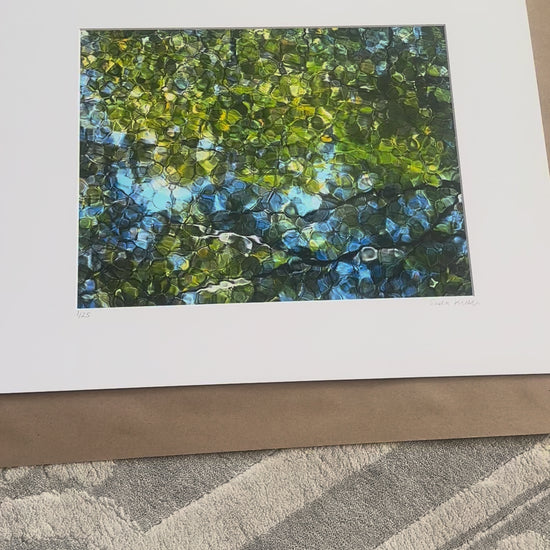 upper mystic lake green leaf photography print in mat board video