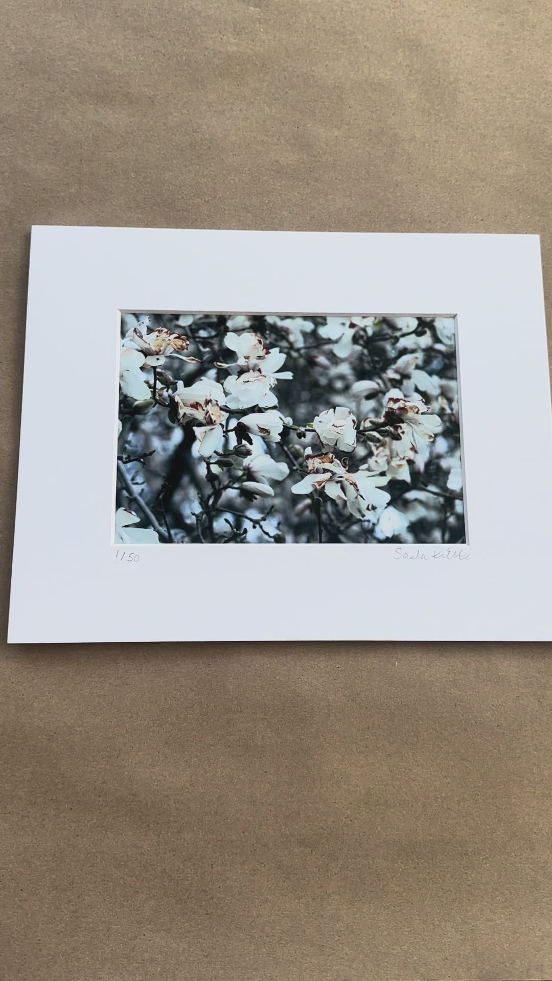 Close-up of white flowers on a blurred natural background video 