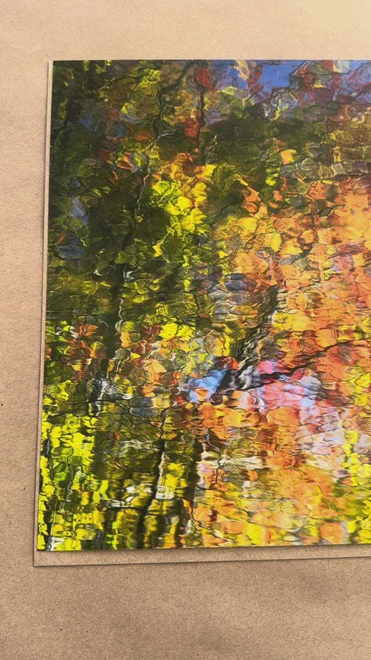 Fresh Pond autumn tree reflection landscape photography print