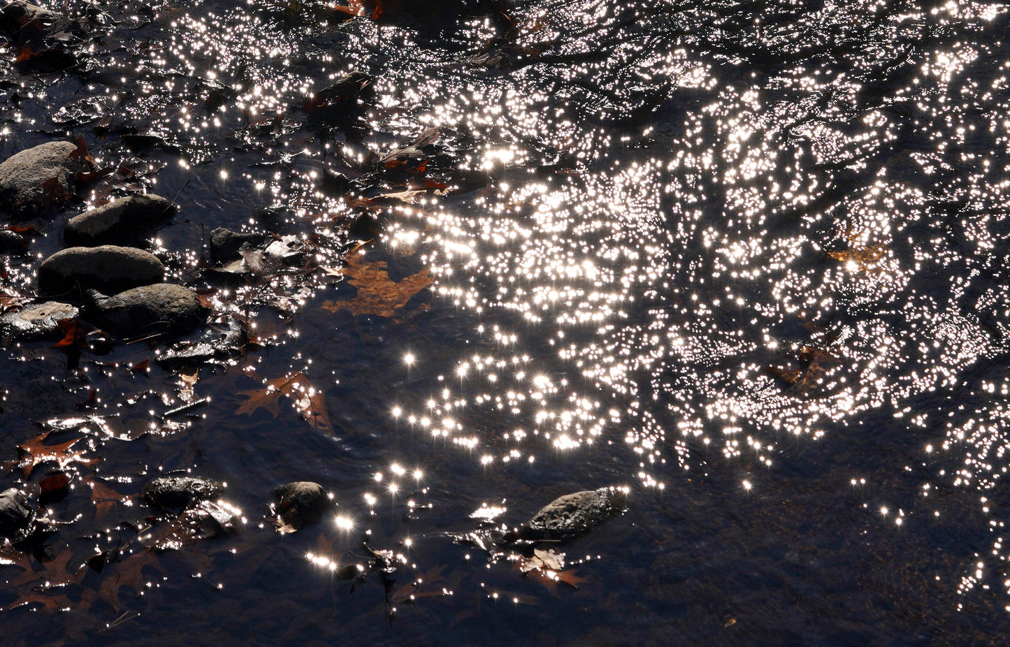 photography print sunlight reflecting on water 