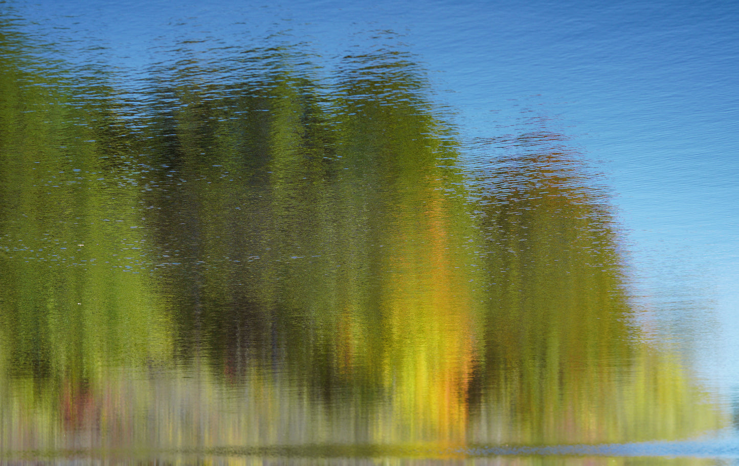 Walden, limited Edition of 5 Prints, Photography, 16x20 Inches