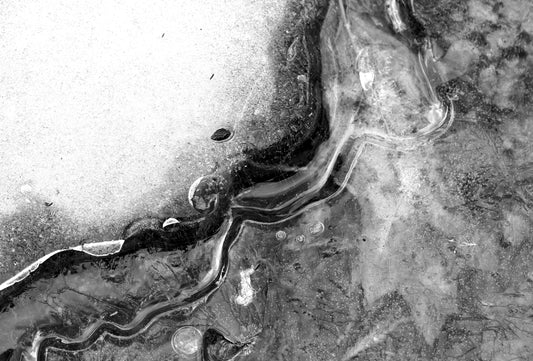 black and white photography macro print snow ice leaf 